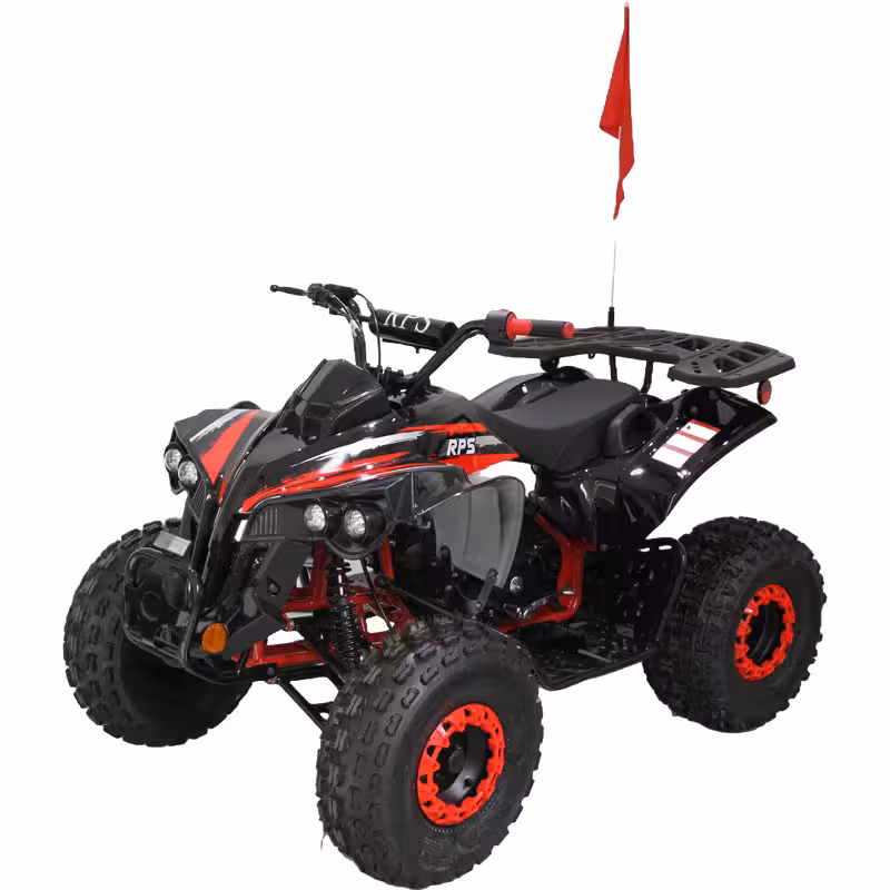 125cc Gasoline ATV Front Drum Rear Disc Brakes 60km/h Max Speed 2.2L Fuel Tank EFI