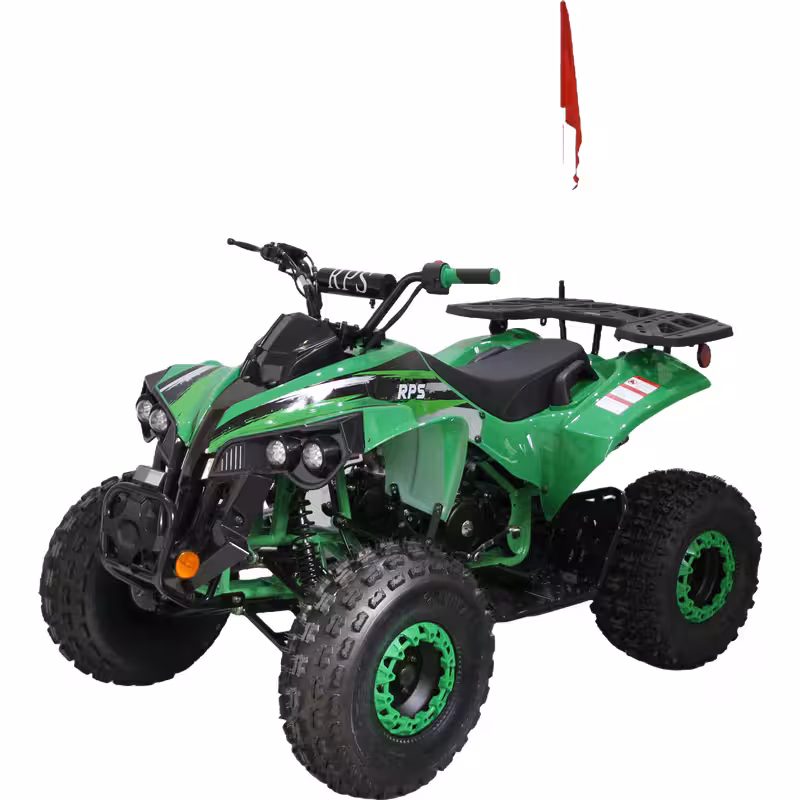 125cc Gasoline ATV Front Drum Rear Disc Brakes 60km/h Max Speed 2.2L Fuel Tank EFI