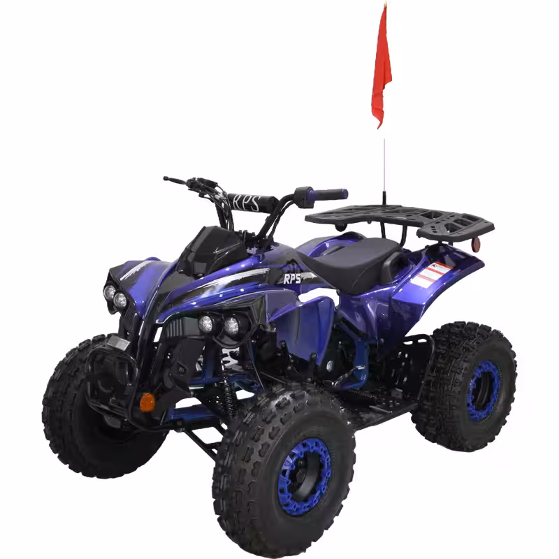 125cc Gasoline ATV Front Drum Rear Disc Brakes 60km/h Max Speed 2.2L Fuel Tank EFI