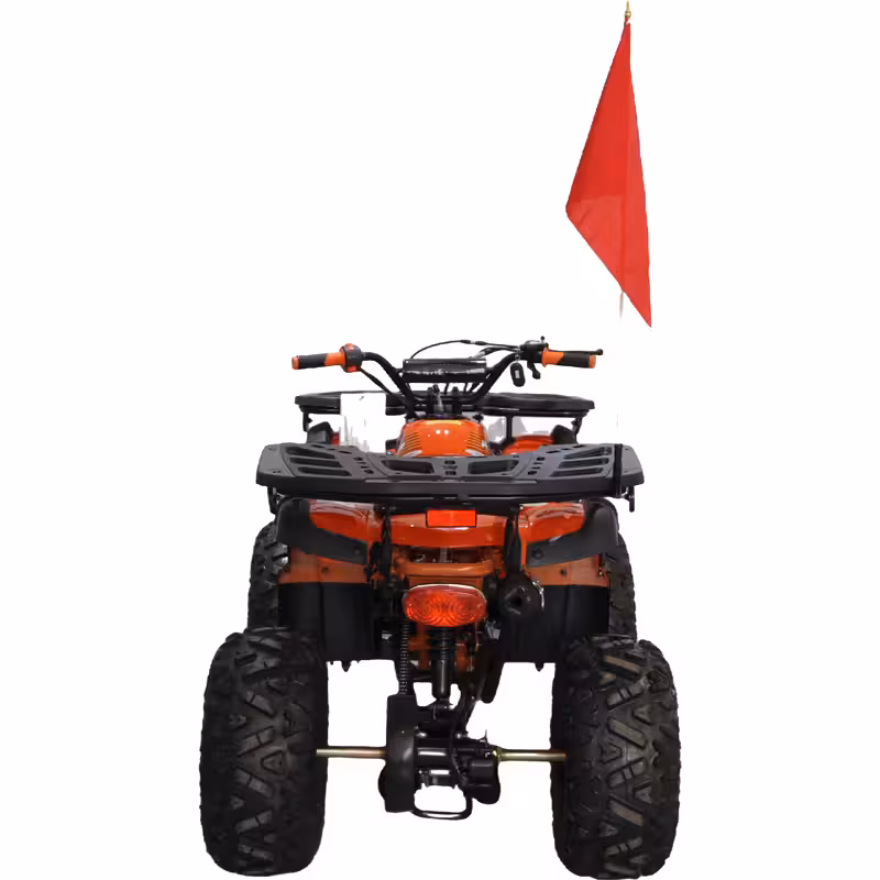 125cc Gasoline ATV Front Drum Rear Disc Brakes 60km/h Max Speed 2.2L Fuel Tank