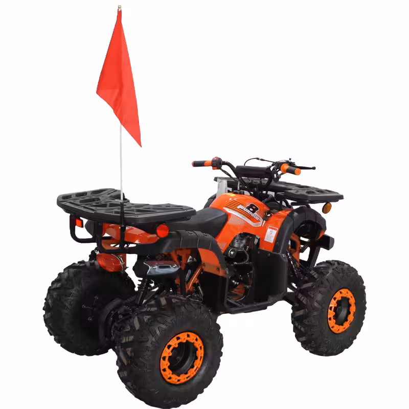 125cc Gasoline ATV Front Drum Rear Disc Brakes 60km/h Max Speed 2.2L Fuel Tank