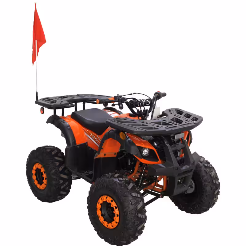 125cc Gasoline ATV Front Drum Rear Disc Brakes 60km/h Max Speed 2.2L Fuel Tank