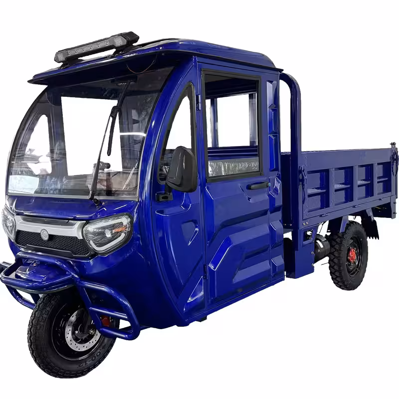 1500W Motorized Cargo 3-Wheel Electric Tricycle for Adults 60-72V Battery Closed Passenger Vehicle