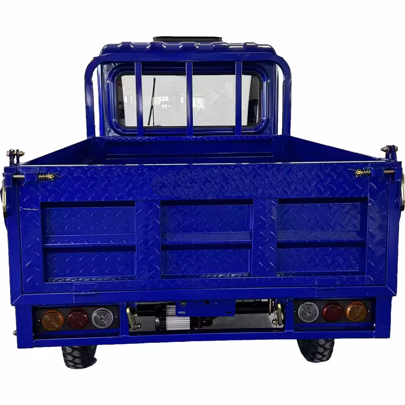 1500W Motorized Cargo 3-Wheel Electric Tricycle for Adults 60-72V Battery Closed Passenger Vehicle