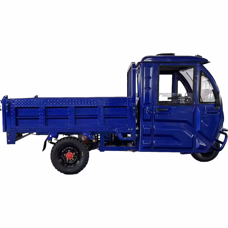 1500W Motorized Cargo 3-Wheel Electric Tricycle for Adults 60-72V Battery Closed Passenger Vehicle