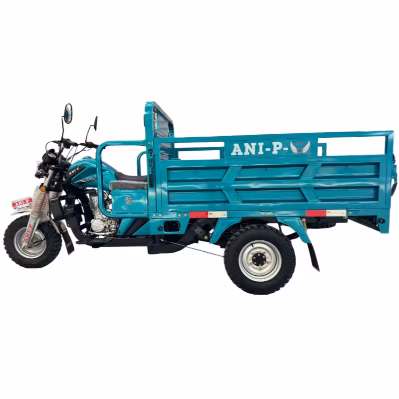 175cc Gasoline Cargo Tricycle Loncin Engine Air-Cooled Reverse Gear Full Suspension Dual Armrest Toolbox