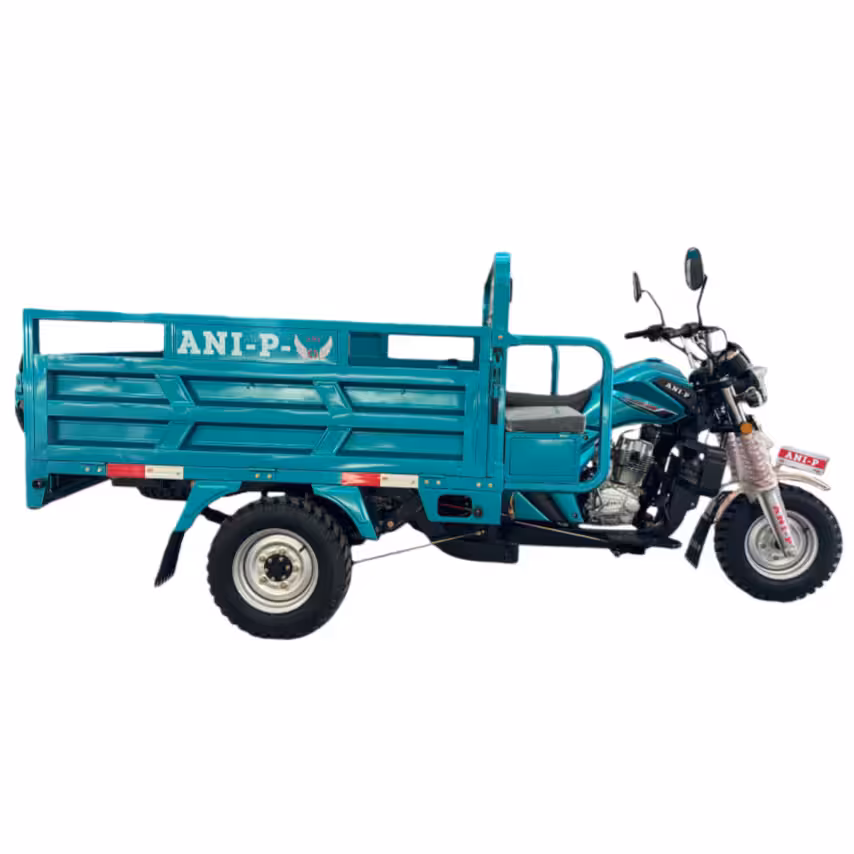 175cc Gasoline Cargo Tricycle Loncin Engine Air-Cooled Reverse Gear Full Suspension Dual Armrest Toolbox