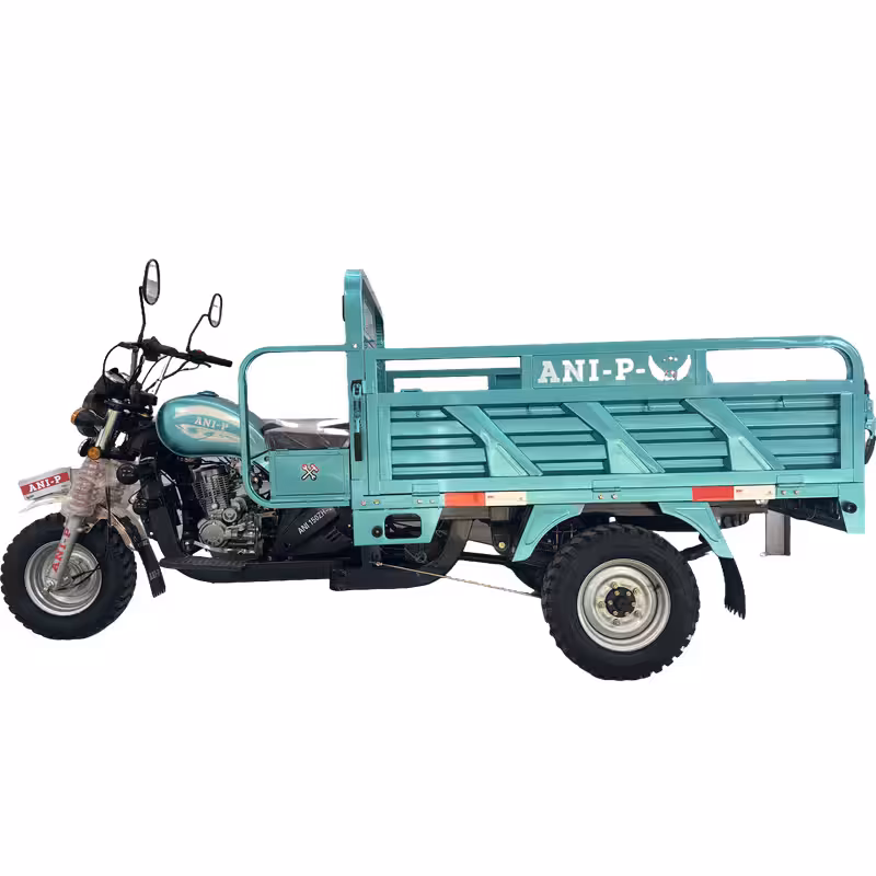 175cc Gasoline Cargo Tricycle Loncin Engine Air-Cooled Reverse Gear Full Suspension Toolbox