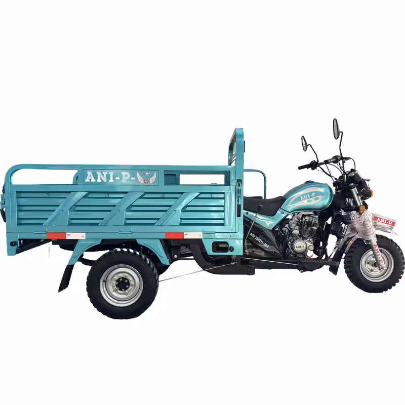 175cc Gasoline Cargo Tricycle Loncin Engine Air-Cooled Reverse Gear Full Suspension Toolbox
