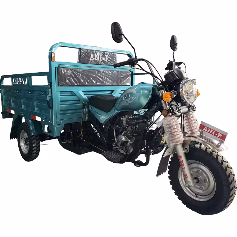 175cc Gasoline Cargo Tricycle Loncin Engine Air-Cooled Reverse Gear Full Suspension Toolbox