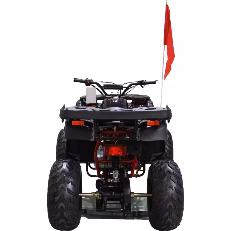 200cc Gasoline ATV Front Drum Rear Disc Brakes 60km/h Max Speed 5.5L Fuel Tank