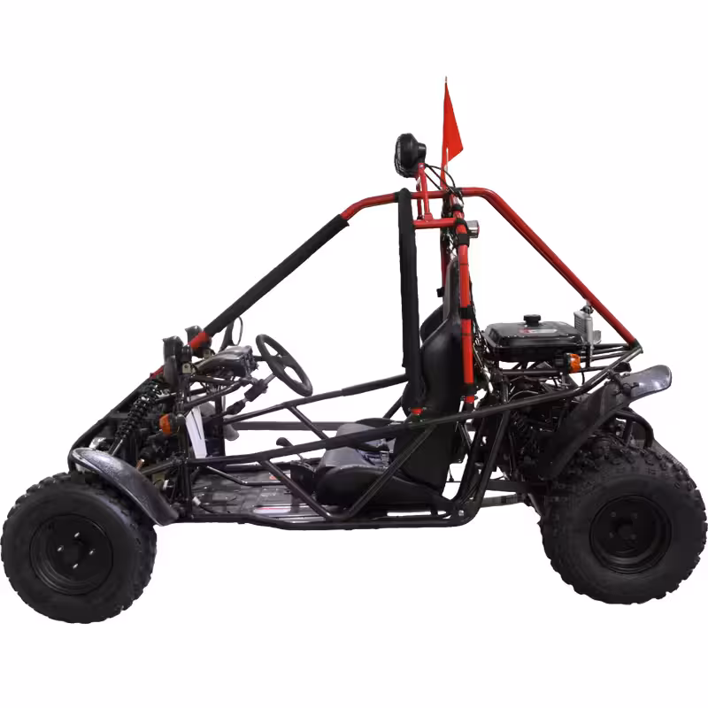 200cc Go Kart Air-Cooled Automatic Transmission 2 Seat Gas Powered ATV Quad Bike