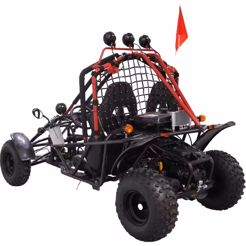 200cc Go Kart Air-Cooled Automatic Transmission 2 Seat Gas Powered ATV Quad Bike