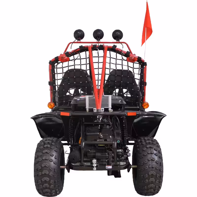 200cc Go Kart Air-Cooled Automatic Transmission 2 Seat Gas Powered ATV Quad Bike
