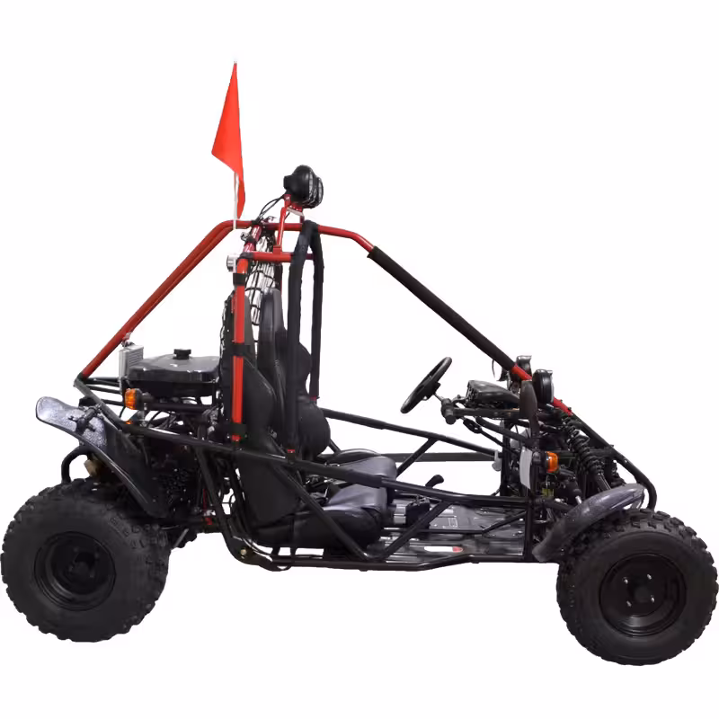 200cc Go Kart Air-Cooled Automatic Transmission 2 Seat Gas Powered ATV Quad Bike