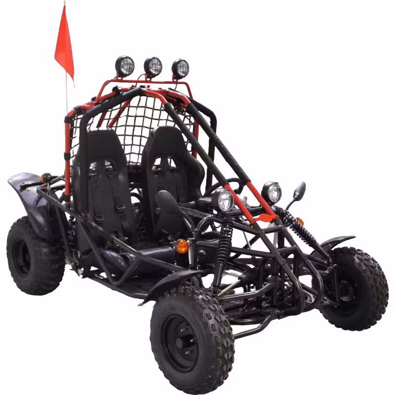 200cc Go Kart Air-Cooled Automatic Transmission 2 Seat Gas Powered ATV Quad Bike