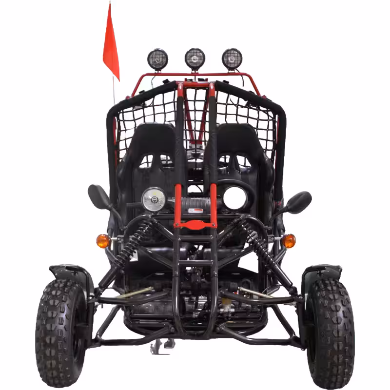 200cc Go Kart Air-Cooled Automatic Transmission 2 Seat Gas Powered ATV Quad Bike