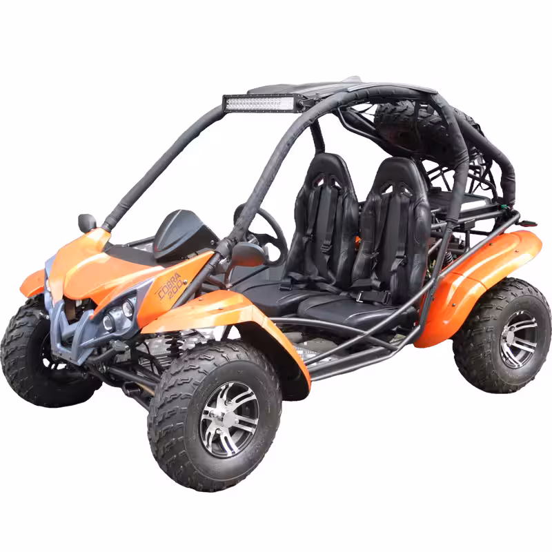 200cc Automatic Transmission Speed 60km/h Go Kart Sand Buggy Quad