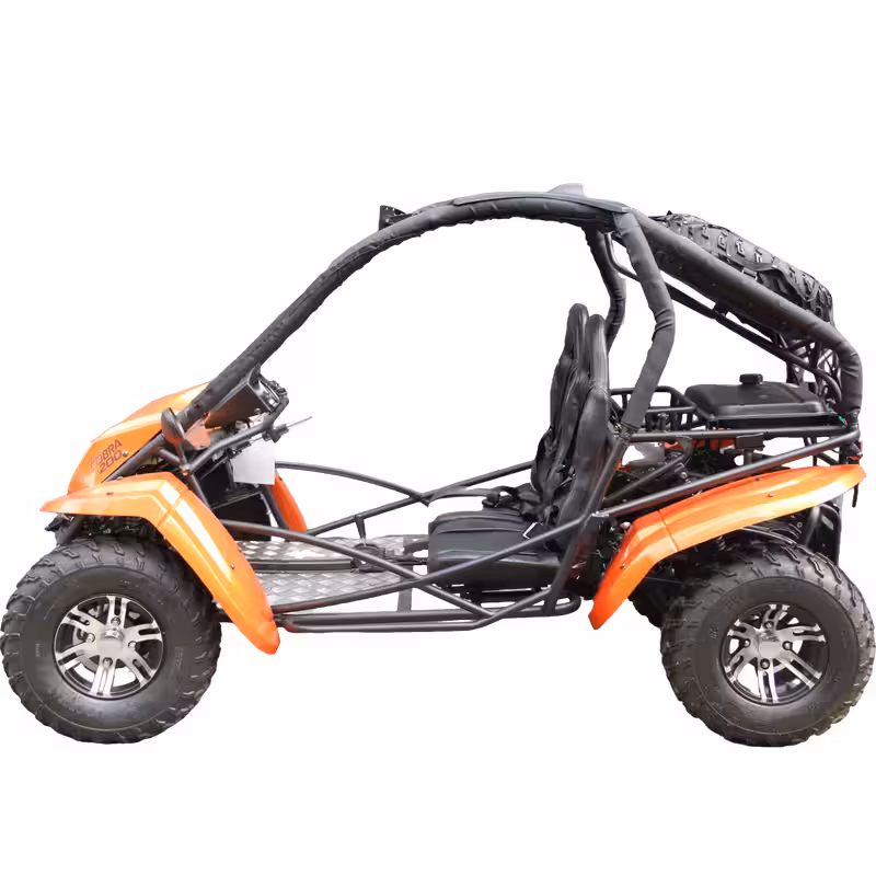 200cc Automatic Transmission Speed 60km/h Go Kart Sand Buggy Quad