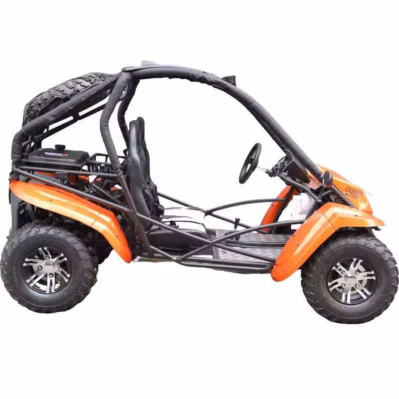 200cc Automatic Transmission Speed 60km/h Go Kart Sand Buggy Quad