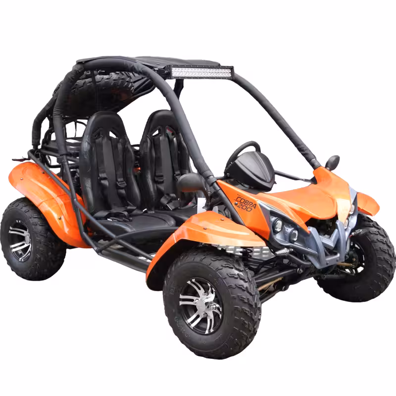 200cc Automatic Transmission Speed 60km/h Go Kart Sand Buggy Quad