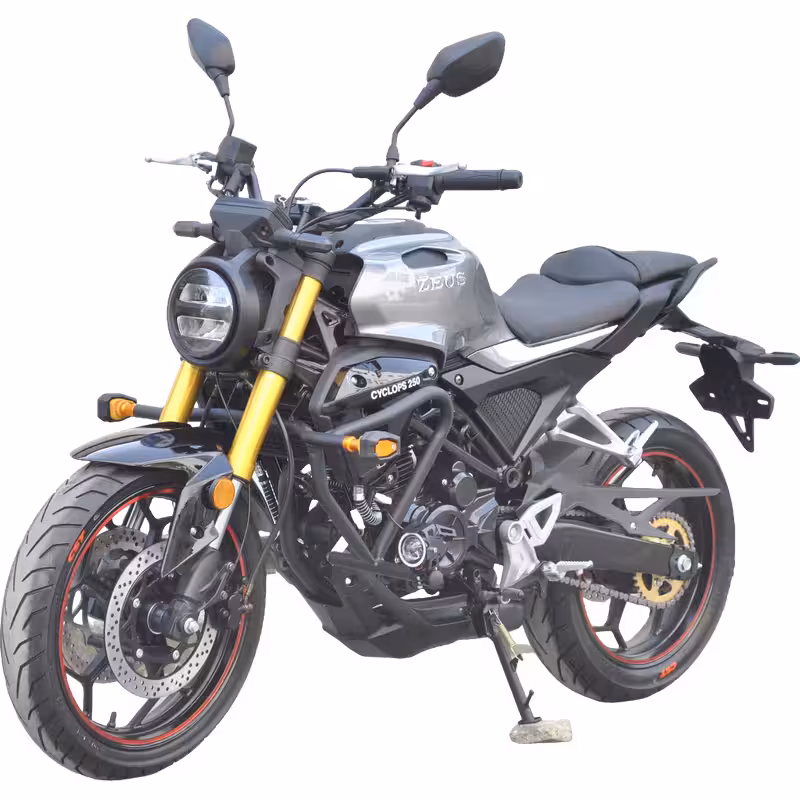 223cc Gasoline Motorcycle Front Disc Rear Drum Brakes 140km/h Max Speed 20L Fuel Tank 6-Speed Manual Oil-Cooled Engine