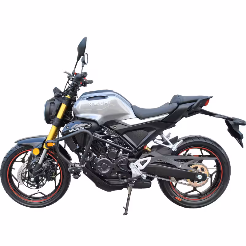 223cc Gasoline Motorcycle Front Disc Rear Drum Brakes 140km/h Max Speed 20L Fuel Tank 6-Speed Manual Oil-Cooled Engine