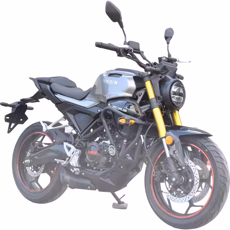 223cc Gasoline Motorcycle Front Disc Rear Drum Brakes 140km/h Max Speed 20L Fuel Tank 6-Speed Manual Oil-Cooled Engine