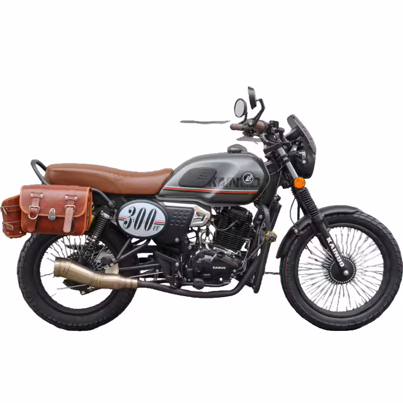 271cc Motorcycle with PR300 Oil-Cooled Engine and Dual Disc Brakes