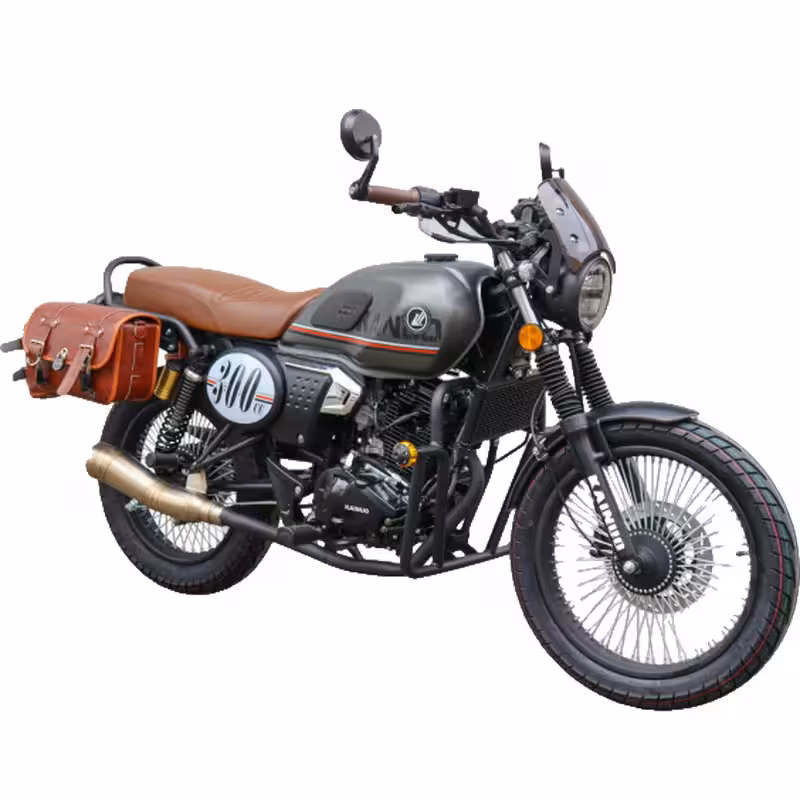 271cc Motorcycle with PR300 Oil-Cooled Engine and Dual Disc Brakes
