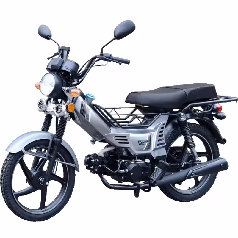 107cc Motorcycle with Air-Cooled Zongshen Engine and Front and Rear Disc Brakes