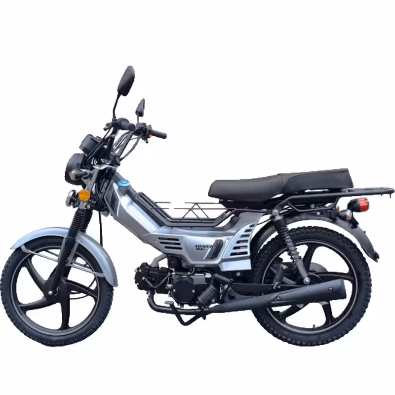 107cc Motorcycle with Air-Cooled Zongshen Engine and Front and Rear Disc Brakes