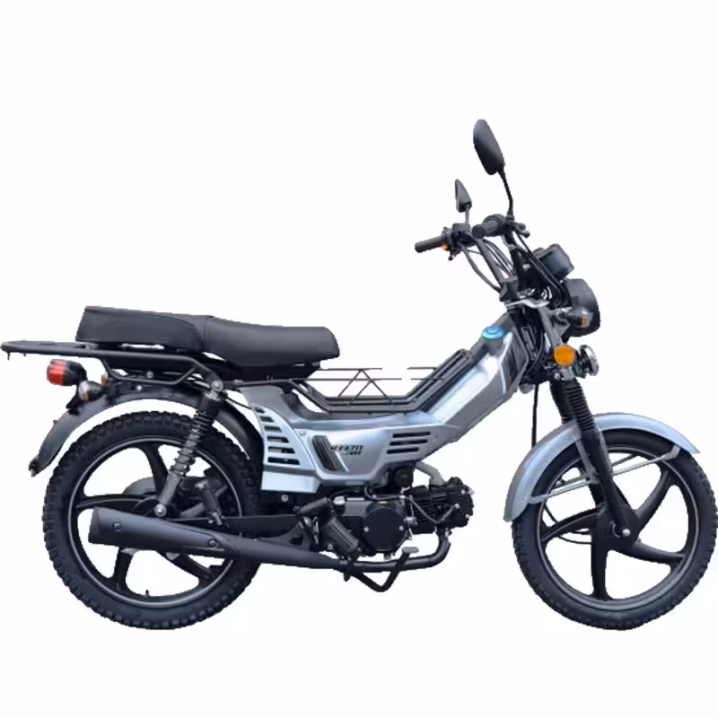 107cc Motorcycle with Air-Cooled Zongshen Engine and Front and Rear Disc Brakes