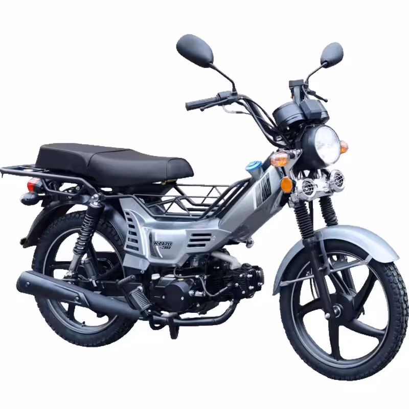 107cc Motorcycle with Air-Cooled Zongshen Engine and Front and Rear Disc Brakes
