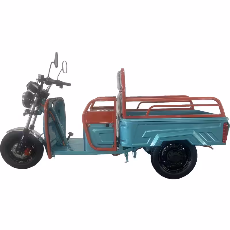800W Three-Wheel Electric Cargo Tricycle for Passenger and Utility Use
