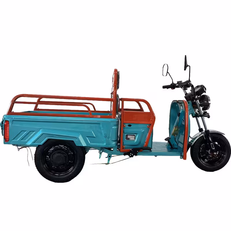 800W Three-Wheel Electric Cargo Tricycle for Passenger and Utility Use