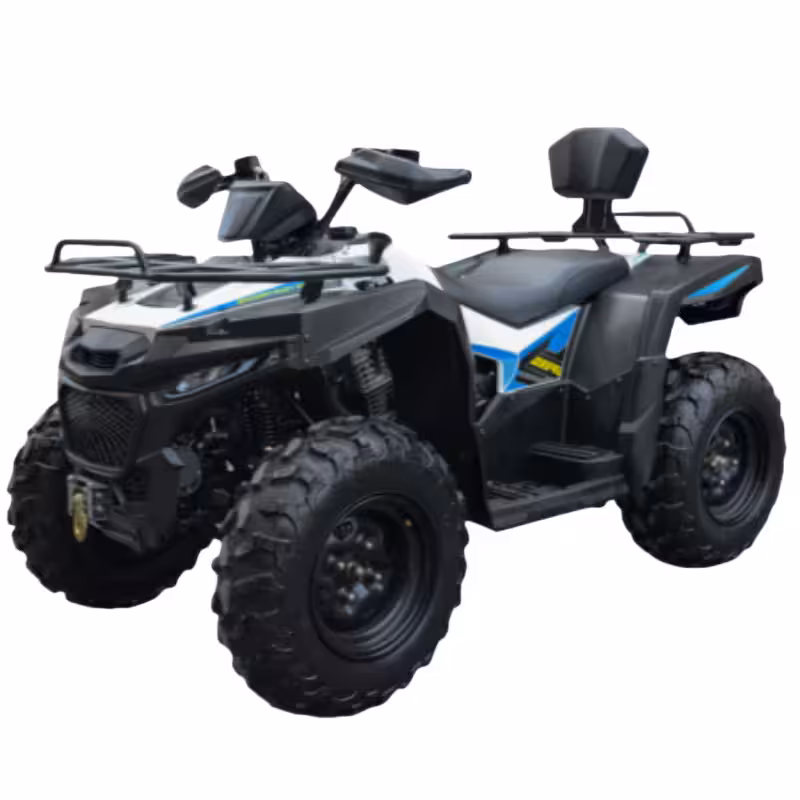 290cc EFI Water-Cooled ATV with 70km/h Top Speed and Dual Disc Brakes