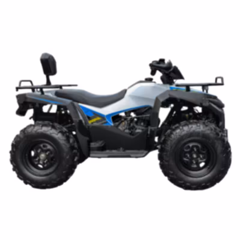 290cc EFI Water-Cooled ATV with 70km/h Top Speed and Dual Disc Brakes