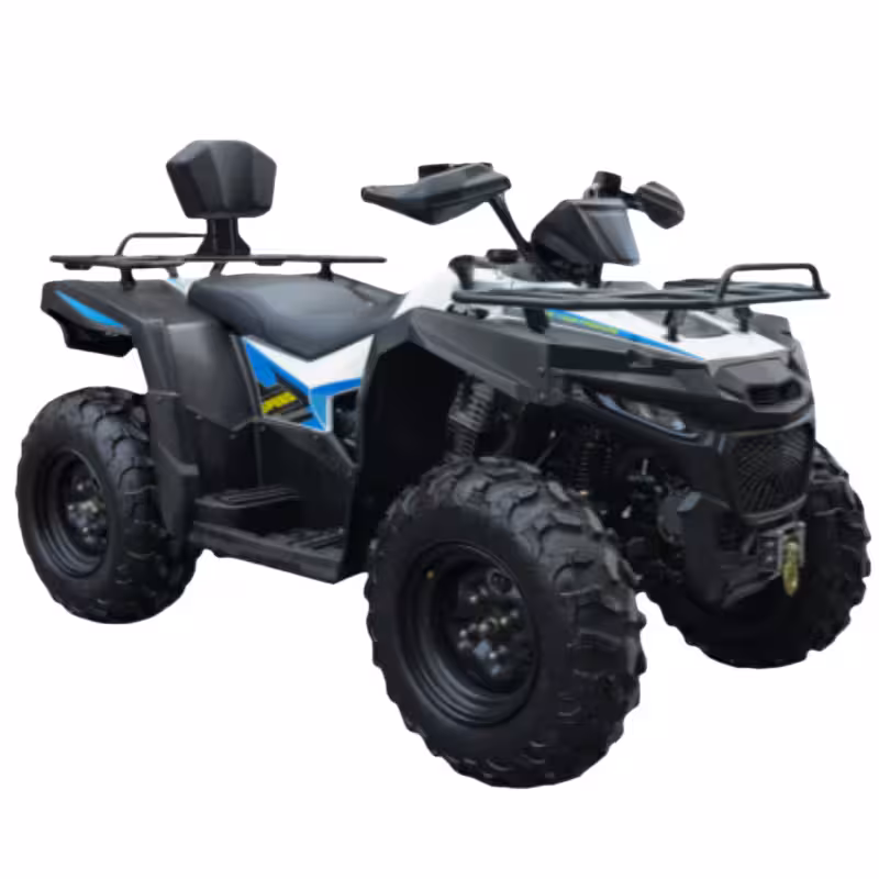 290cc EFI Water-Cooled ATV with 70km/h Top Speed and Dual Disc Brakes