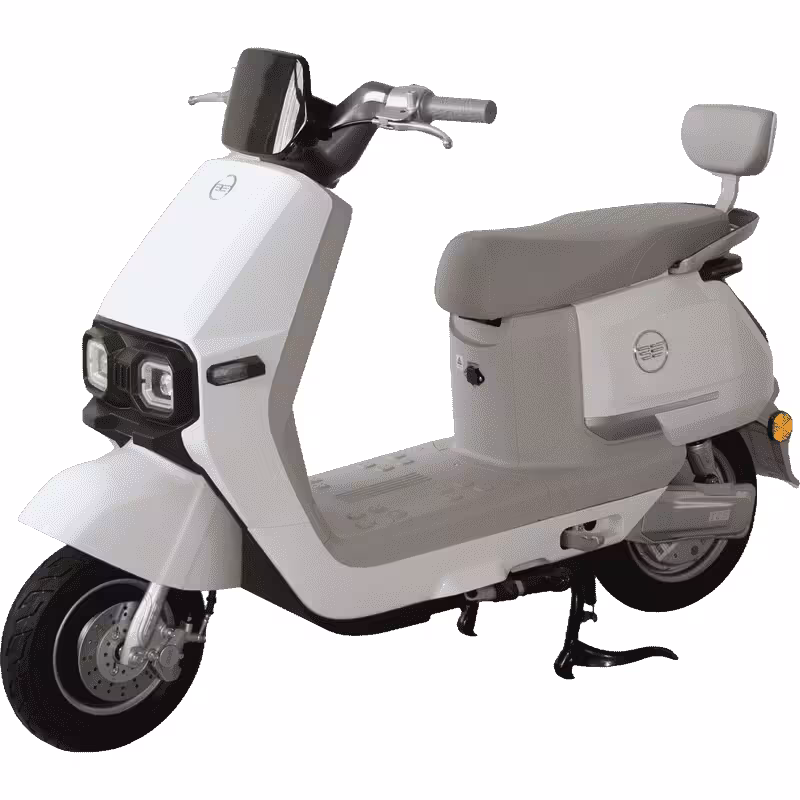 1000W 60V/72V20Ah Speed 45km/h 2 Wheel Electric Motorcycle Scooter Moped