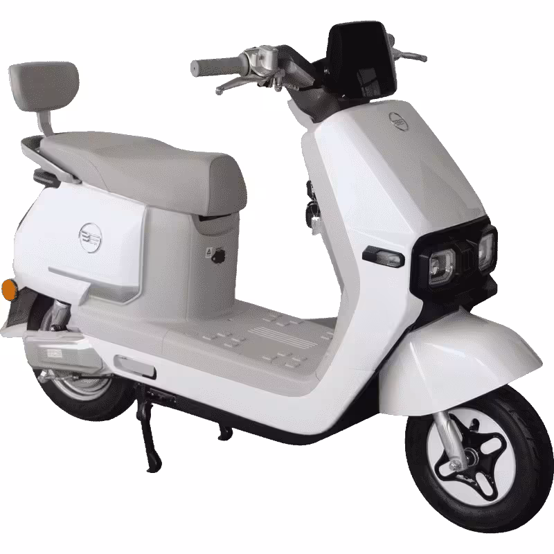 1000W 60V/72V20Ah Speed 45km/h 2 Wheel Electric Motorcycle Scooter Moped