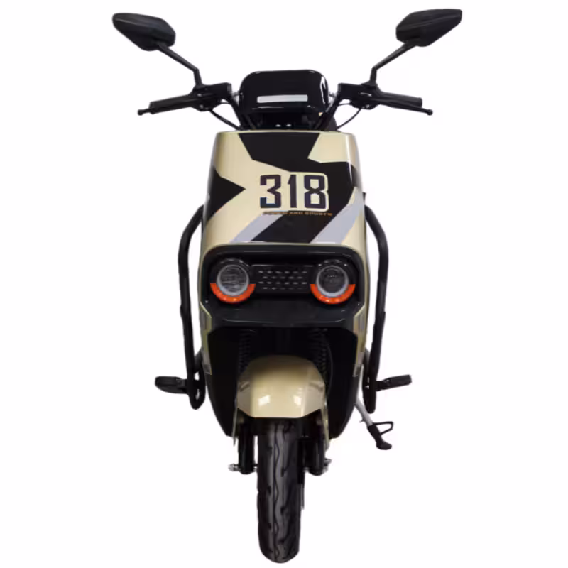 1500W Electric Scooter with 72V20Ah Battery and Dual Disc Brakes