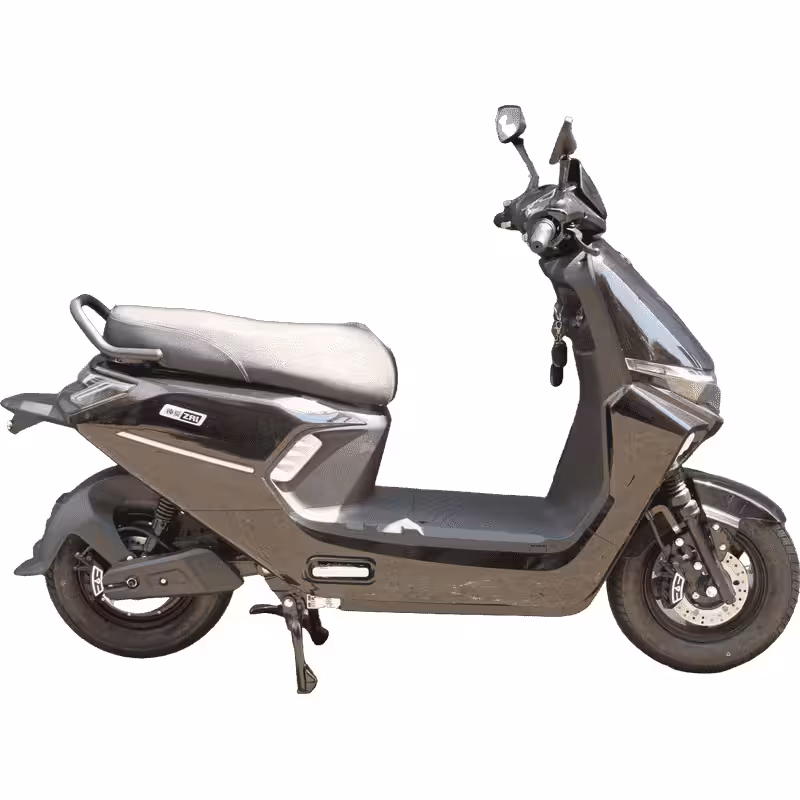 1000W 60V/72V20Ah Electric Motorcycle 60-70km Long-Range 15-20° All-Terrain Climbing Dual Disc Brakes