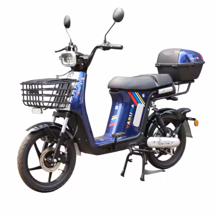 48V20Ah Lithium Battery 800W Motor 60km Range 45km/h 18*2.5 Tire