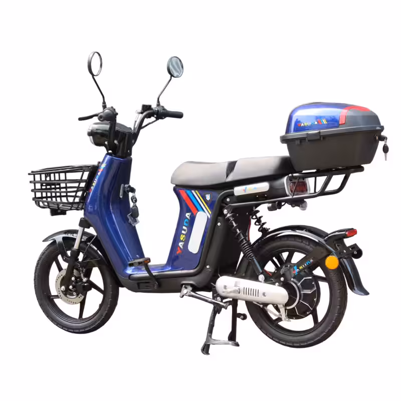 48V20Ah Lithium Battery 800W Motor 60km Range 45km/h 18*2.5 Tire