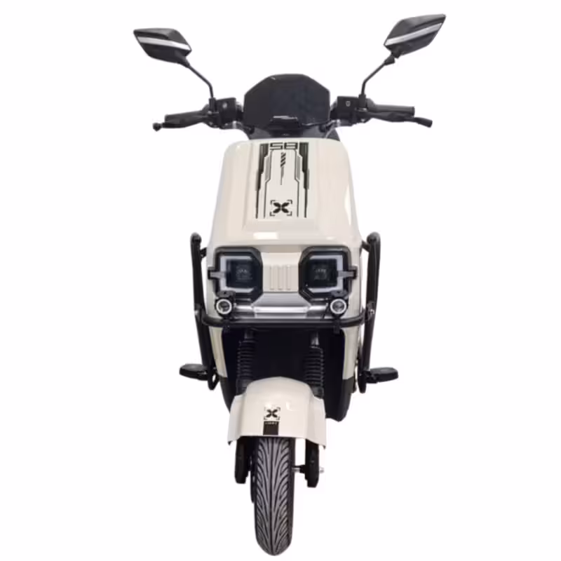 1000W Electric Scooter with 60-70km Range and Dual Disc Brakes