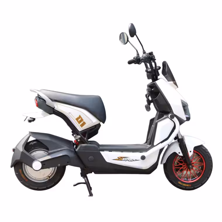60V20Ah Lead-Acid Battery 1000W Motor 60km Range 45km/h 300-10 Tire