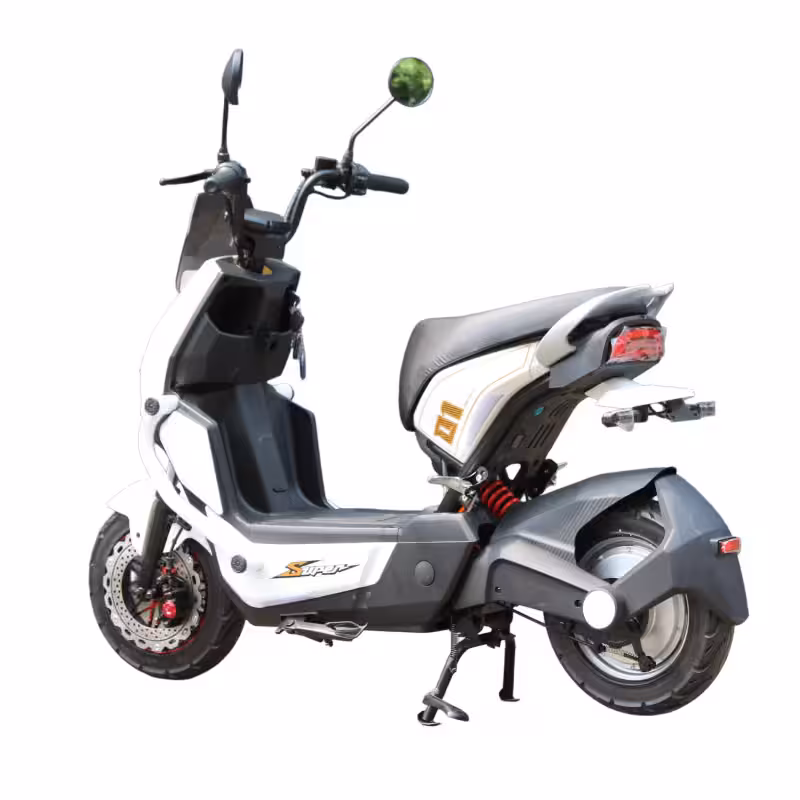 60V20Ah Lead-Acid Battery 1000W Motor 60km Range 45km/h 300-10 Tire
