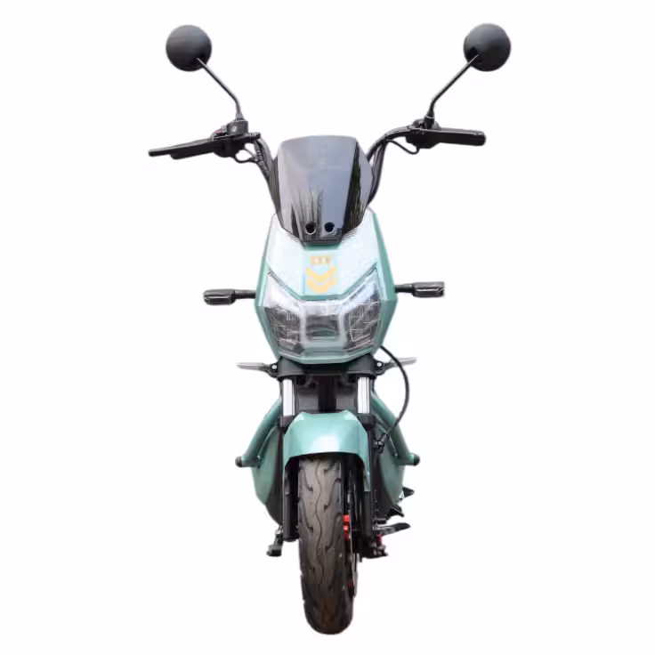 60V20Ah Lead-Acid Battery 1000W Motor 60km Range 45km/h 300-10 Tire