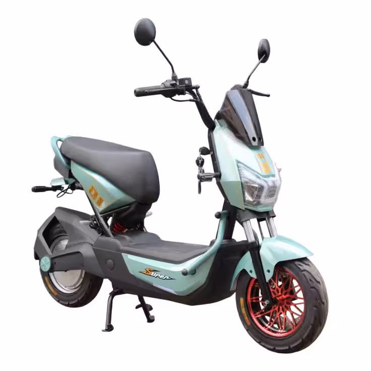 60V20Ah Lead-Acid Battery 1000W Motor 60km Range 45km/h 300-10 Tire